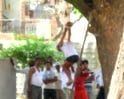Video : 75-year-old hung from tree, tortured by cops
