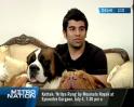 All about dog care
