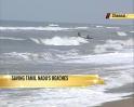 Saving Chennai`s beaches