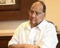 Sharad Pawar: Pakistan should take strict action