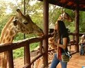 Ten best things to do in Kenya