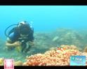 In the Andaman Islands