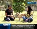 Dogs are man's best friends