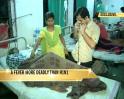Video: Deadlier than H1N1: Assam battles encephalitis