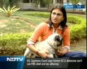 For all the animal lovers...