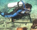 Video : NDTV Special: Shipwreck