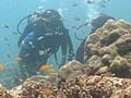 

On a trip to the Andamans