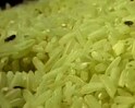Tubaah.com