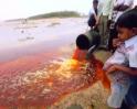 Video : Gujarat's poison pipeline