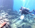 Video : India's underwater treasures