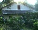 Celebrating Jim Corbett's 135th birth anniversary
