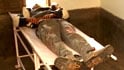 Video : Probe into Bangalore student's death