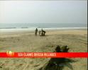 Our dying beaches