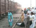 Video : Protestors stall Shatabdi near Ludhiana