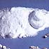 Video : Mumbai drugs seizure points to deeper trail