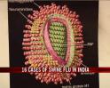 Video : Swine flu scare in India