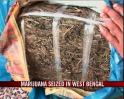 Video : Marijuana seized in West Bengal