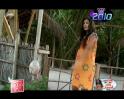 Making of the Kingfisher calender begins