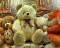 Video : Dear Pranab Babu: Toy Manufacturer's wishlist