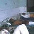 Video : Gujarat oil refinery fire kills four