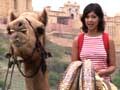 


Journey into the land of Maharajas