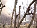 Video : J&K: Encounter in Pulwama, one jawan injured