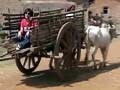 A trip to the Western Ghats