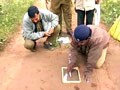 Video : Tiger census: Orissa rejects numbers