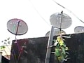 DTH operators to pay higher rates for content following SC order