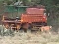 Video: Tiger held captive for one week released