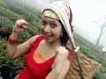 A trip to Kurseong, Darjeeling and Kalimpong