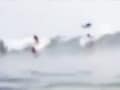 Video: Shark jumps over surfer