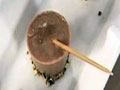 Masala Chai Ice Cream