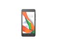 Zen Admire Swadesh