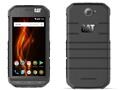 S31 Cat S31