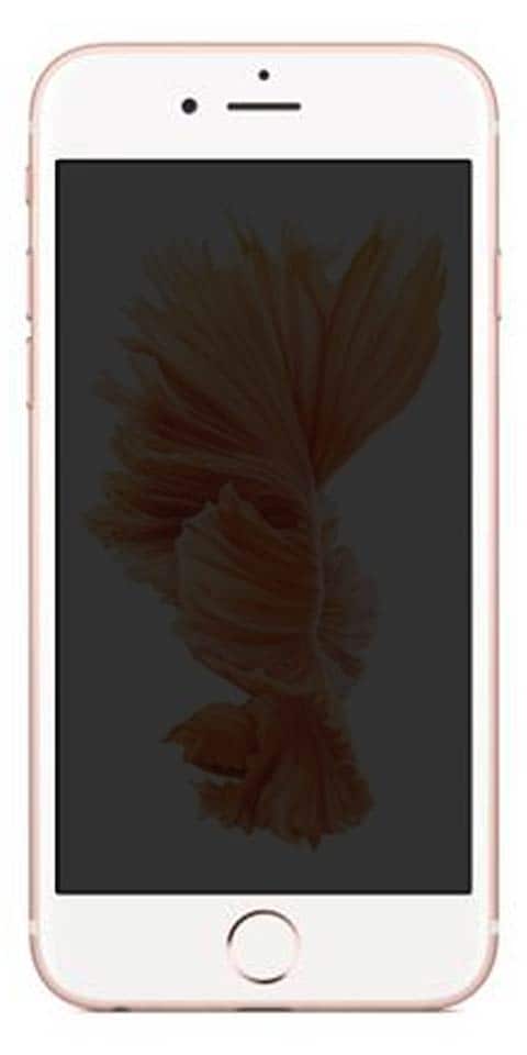 input filosofisk Villain Apple iPhone 6s Price in India, Specifications, Comparison (13th August  2023)