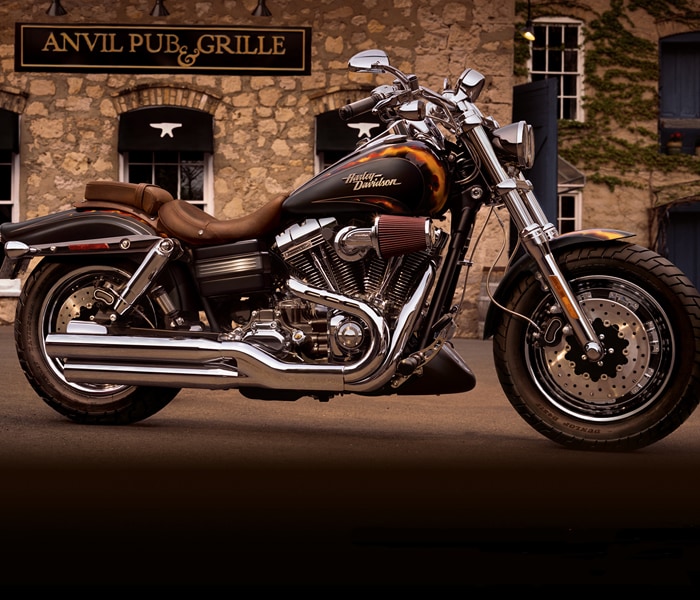 The 2010 Harley-Davidson motorcycles