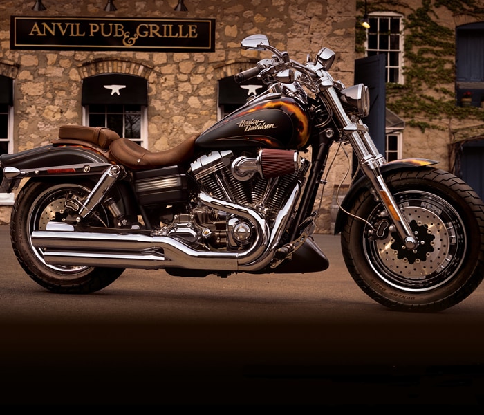 The 2010 Harley-Davidson Motorcycles