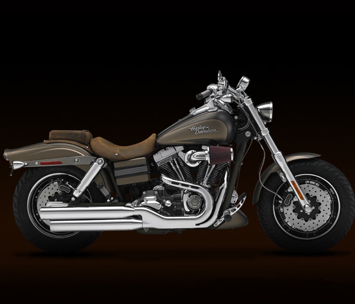 The 2010 Harley-Davidson motorcycles