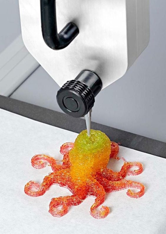 The Next Big Thing: Amazing Foods Created with a 3-D Printer The Next Big Thing: Amazing Foods Created with a 3-D Printer