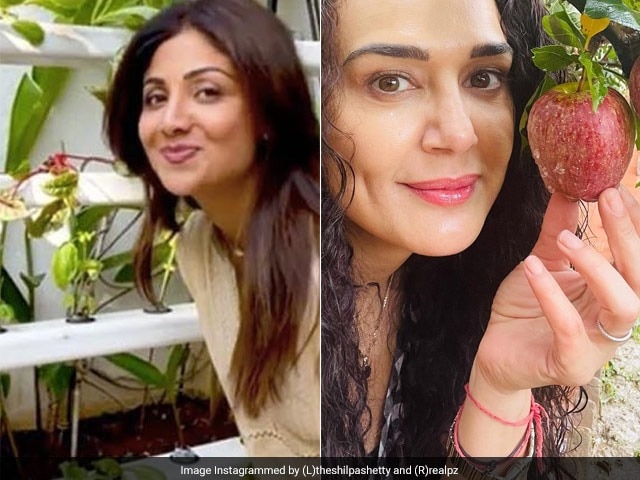 Photo : 5 Indian Celebrities Who Started Growing Their Own Food In 2021