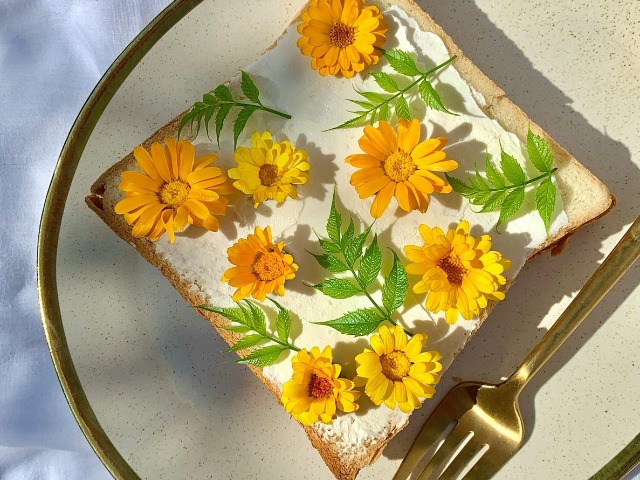 5 Tips To Master The Art Of Plating Food 5 Tips To Master The Art Of Plating Food