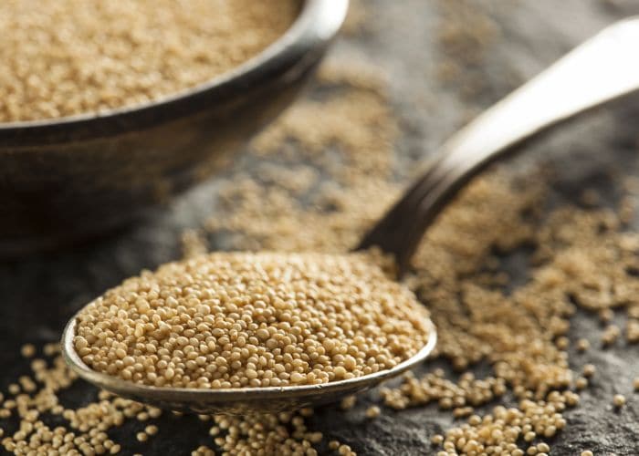 Gluten-Free Amaranth: Exciting Ways to Add it to Your Diet Gluten-Free Amaranth: Exciting Ways to Add it to Your Diet