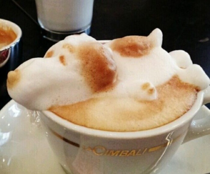 Coffee Foam Art Coffee Foam Art