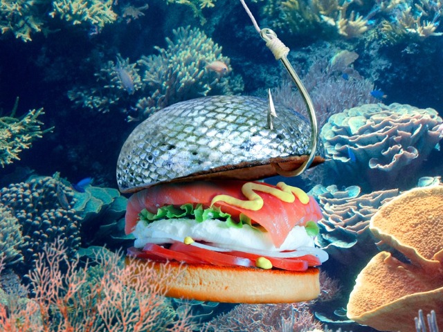 Burgers Have Never Looked This Wacky! Burgers Have Never Looked This Wacky!