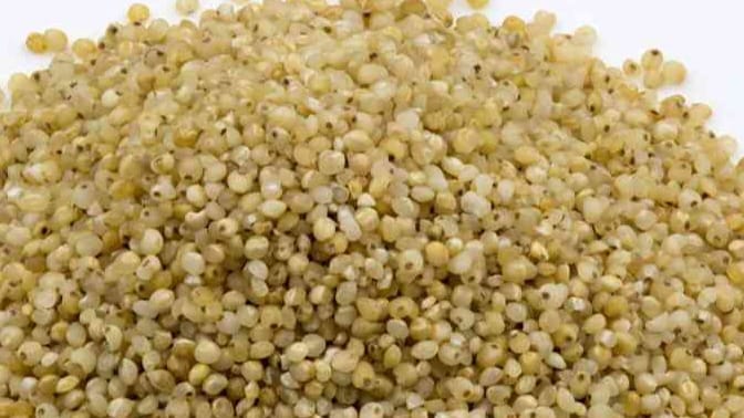 Fasting? These 6 Grains Are Perfect Rice Substitutes