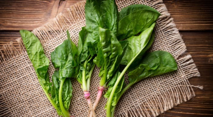 Foods That Make You Feel Good Foods That Make You Feel Good
