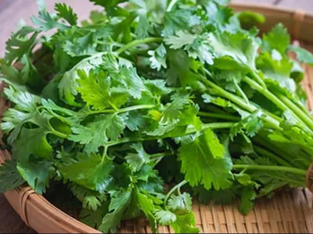 Photo : Innovative Ways To Use Coriander Leaves In Cooking