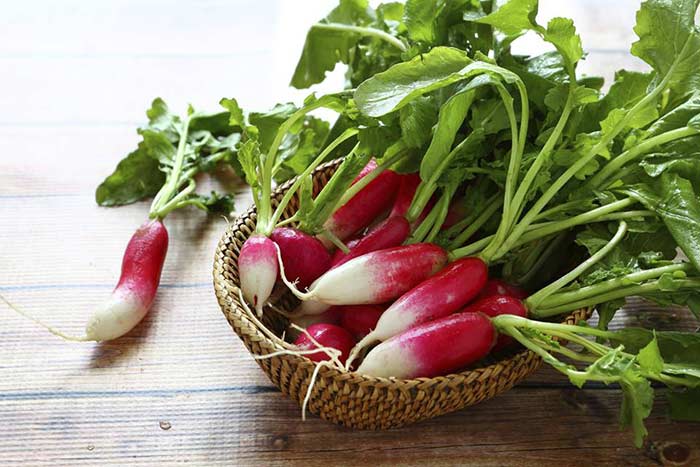 Trying to Keep Your Weight Down? 7 Low Carb Veggies to Add to Your Diet Trying to Keep Your Weight Down? 7 Low Carb Veggies to Add to Your Diet