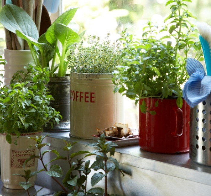 World Environment Day: Creative Ways to Re-Use Your Household Waste World Environment Day: Creative Ways to Re-Use Your Household Waste